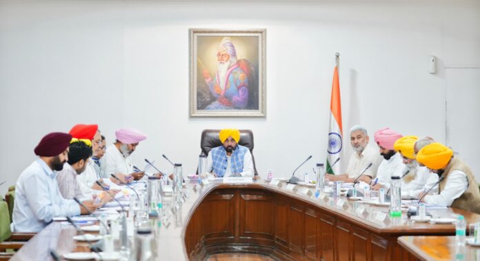 WhatsApp Image 2025-06-21 at 5.55.17 PM (1)