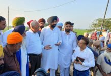 ਬਰਿੰਦਰ ਕੁਮਾਰ ਗੋਇਲ ਵੱਲੋਂ ਫਿਰੋਜ਼ਪੁਰ ਅਤੇ ਤਰਨ ਤਾਰਨ ਜ਼ਿਲ੍ਹਿਆਂ ਵਿੱਚ ਰਾਹਤ ਕਾਰਜਾਂ ਦਾ ਜਾਇਜ਼ਾ ਲੈਣ ਲਈ ਹੜ੍ਹ ਪ੍ਰਭਾਵਿਤ ਖੇਤਰਾਂ ਦਾ ਦੌਰਾ