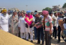 ਪੰਜਾਬ ਨੂੰ ਹੜ੍ਹਾਂ ਦੀ ਮਾਰ ਤੋਂ ਬਚਾਉਣ ਲਈ ਰਾਵੀ, ਸਤਲੁਜ ਅਤੇ ਬਿਆਸ ਦਰਿਆਵਾਂ ਦੀ ਕੀਤੀ ਜਾਵੇਗੀ ਸਫ਼ਾਈ: ਹਰਪਾਲ ਸਿੰਘ ਚੀਮਾ