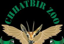 ਜੰਗਲਾਤ ਅਤੇ ਜੰਗਲੀ ਜੀਵ ਸੁਰੱਖਿਆ ਵਿਭਾਗ ਵੱਲੋਂ ਸਰਦੀਆਂ ਦੌਰਾਨ ਛੱਤਬੀੜ ਚਿੜੀਆਘਰ ਵਿੱਚ ਜਾਨਵਰਾਂ ਦੀਆਂ ਖੁਰਾਕ ਸਬੰਧੀ ਜ਼ਰੂਰਤਾਂ ਵੱਲ ਦਿੱਤਾ ਜਾ ਰਿਹੈ ਵਿਸ਼ੇਸ਼ ਧਿਆਨ