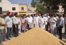 ਸਾਲ 2025 ਦਾ ਲੇਖਾ-ਜੋਖਾ – ਖੁਰਾਕ, ਸਿਵਲ ਸਪਲਾਈ ਤੇ ਖਪਤਕਾਰ ਮਾਮਲੇ ਵਿਭਾਗ