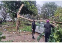 *ਪੀ.ਐਸ.ਪੀ.ਸੀ.ਐਲ. ਸਟਾਫ਼ ਬਿਜਲੀ ਸਪਲਾਈ ਦੀ ਬਹਾਲੀ ਲਈ 24 ਘੰਟੇ ਸਰਗਰਮ*