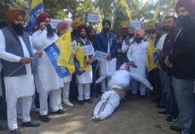 *’ਆਪ’ ਨੇ ਪ੍ਰਤਾਪ ਬਾਜਵਾ ਅਤੇ ਕਾਂਗਰਸ ਲੀਡਰਸ਼ਿਪ ਤੋਂ ਤੁਰੰਤ ਮੁਆਫ਼ੀ ਦੀ ਕੀਤੀ ਮੰਗ*