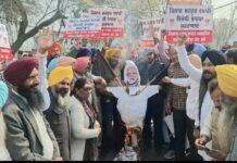 *ਬਟਾਲਾ ਵਿੱਚ ਹੈਰੋਇਨ ਲੈਂਦੇ ਫੜੇ ਗਏ ਕਾਂਗਰਸੀ ਆਗੂ ਨੇ ਪਾਰਟੀ ਦਾ ਅਸਲੀ ਚਿਹਰਾ ਕੀਤਾ ਬੇਨਕਾਬ: ਕੁਲਦੀਪ ਸਿੰਘ ਧਾਲੀਵਾਲ*