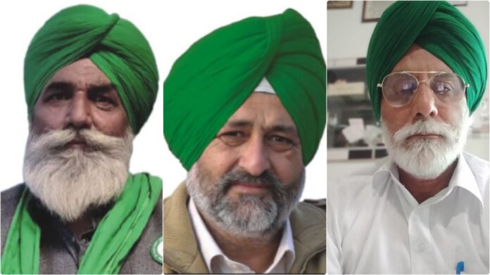 InCollage_20250212_132701197 (1)