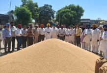 ਚੇਅਰਮੈਨ ਸੁਰਜੀਤ ਸਿੰਘ ਕੰਗ ਅਤੇ ਮੰਡੀ ਪ੍ਰਧਾਨ ਪ੍ਰਿਤਪਾਲ ਸਿੰਘ ਪੱਡਾ ਨੇ ਦਾਣਾ ਮੰਡੀ ਰਈਆ, ਖਿਲਚੀਆਂ, ਸਠਿਆਲਾ, ਬੁਤਾਲਾ, ਕਾਲੇਕੇ ਦੀ ਹਾੜ੍ਹੀ ਸੀਜਨ ਦੀ ਖ੍ਰੀਦ ਸੁਰੂ ਕਰਵਾਈ